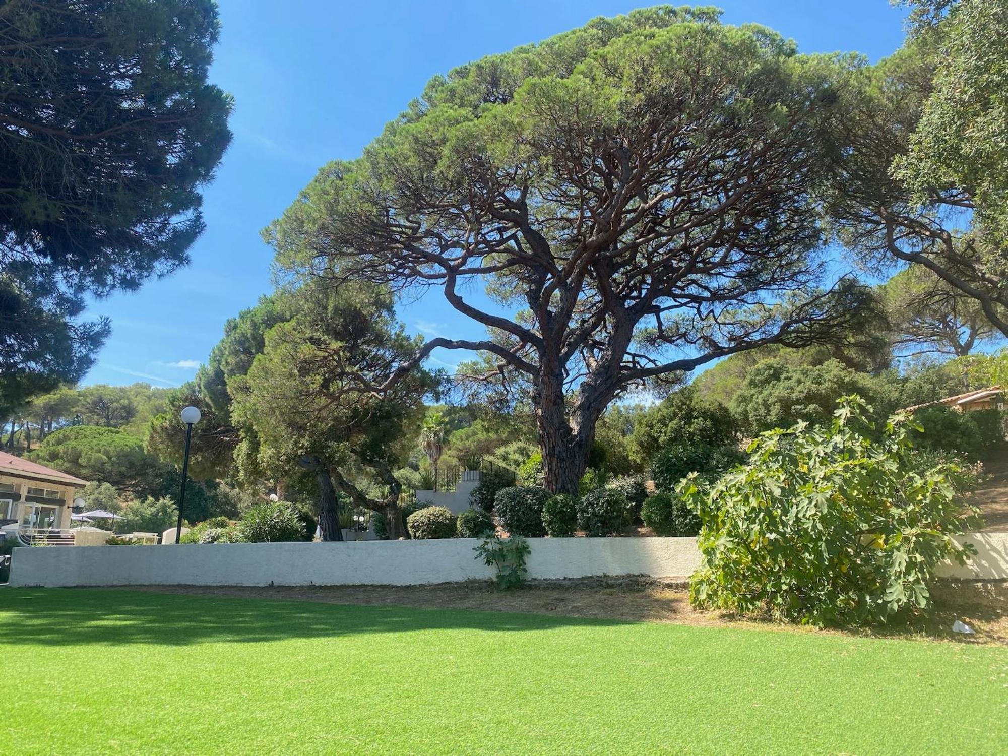 La Joya De Villepey Saint Aygulf Buitenkant foto