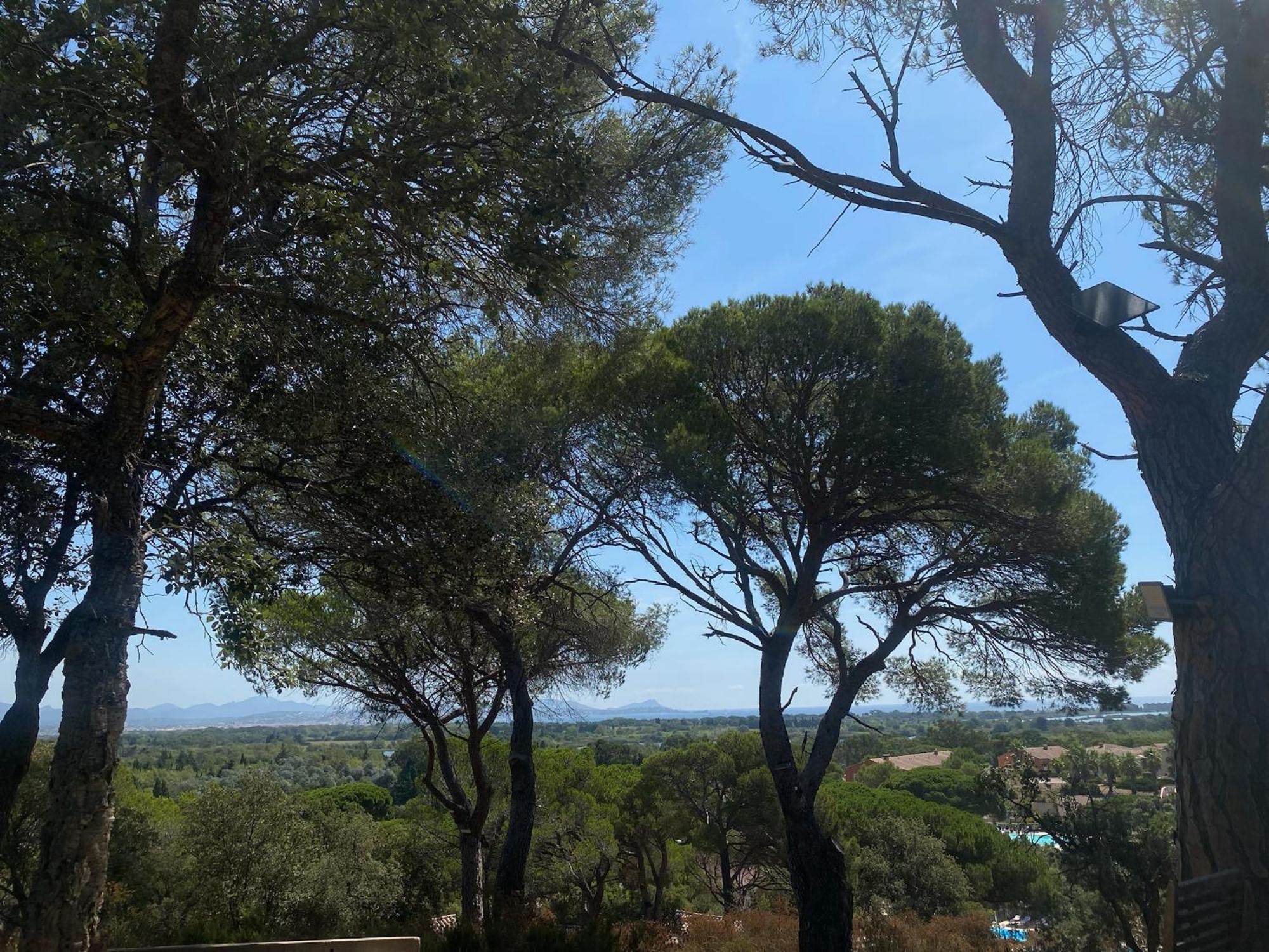 La Joya De Villepey Saint Aygulf Buitenkant foto